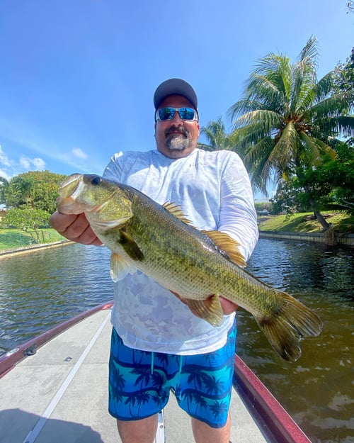 Half day Peacocks and exotics (PM)