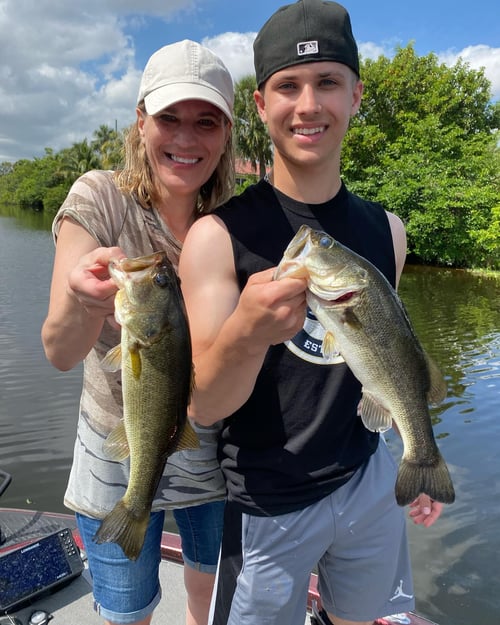 Full day peacocks and exotics