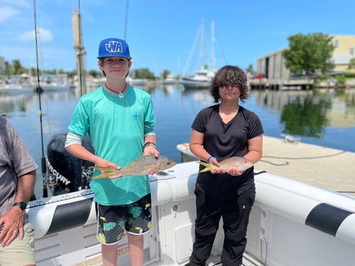 Craft Your Excursion: Snorkel, Fish, Lobster, Sandbar