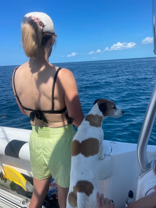 Craft Your Excursion: Snorkel, Fish, Lobster, Sandbar