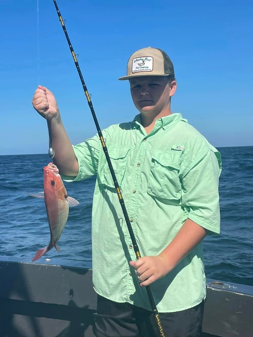 Red Snapper Fishing in Orange Beach, Alabama