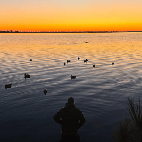 OBX Waterfowl hunting