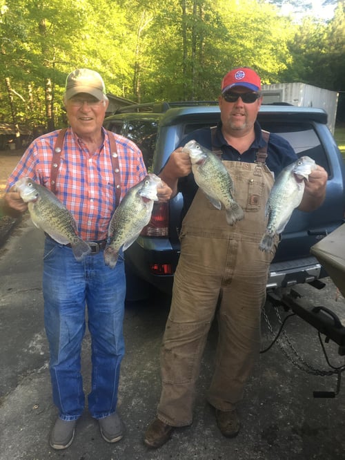 Crappie Fishing in Grenada, Mississippi