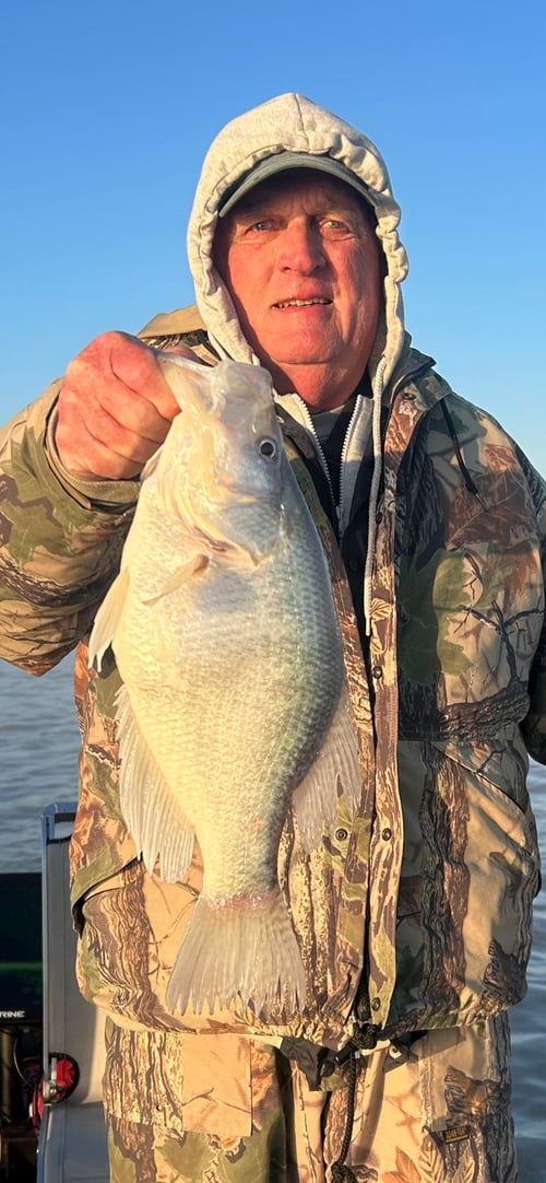 Crappie Fishing in Grenada, Mississippi