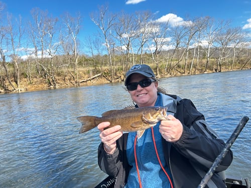 Virginia Full-Day Float Trip