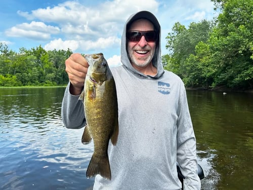 Smallmouth Bass Fishing in Rockbridge Baths, Virginia