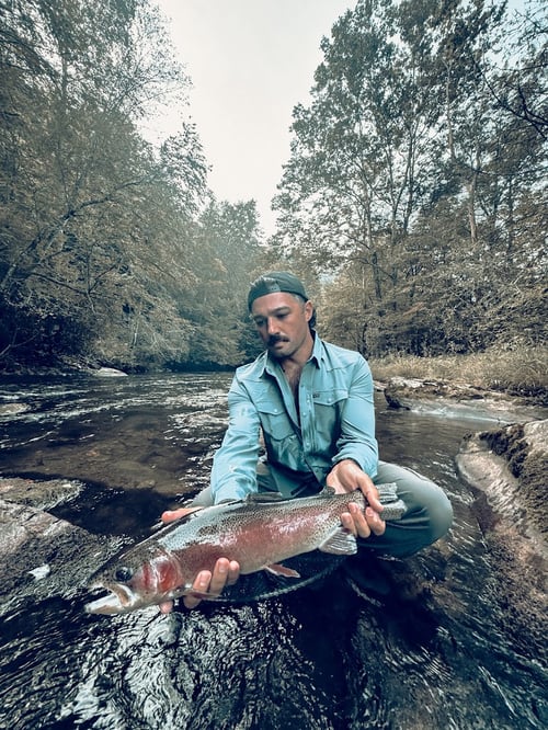 Trophy trout fly fishing experience