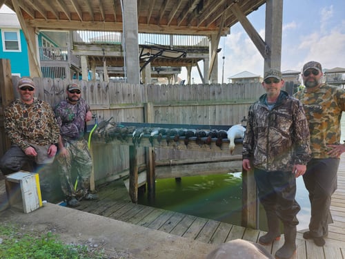 Texas Coast Duck Hunts