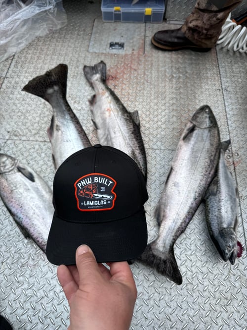 Willamet spring chinook