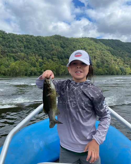 3/4 Day Guided New River Fishing Trip