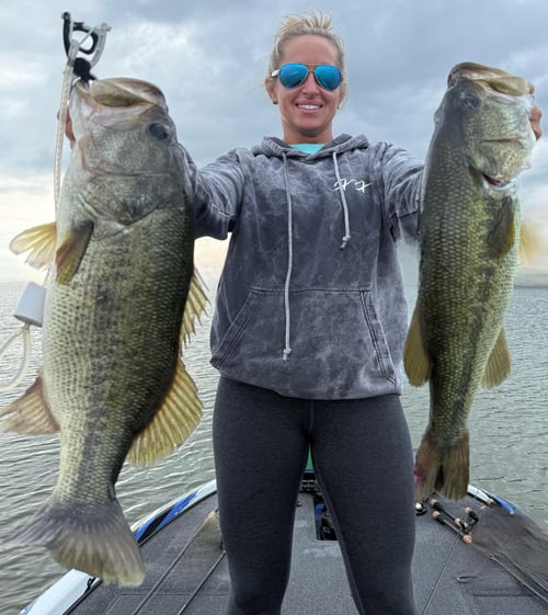 Alabama Elite Bass Fishing