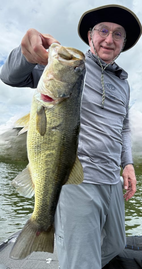 Alabama Elite Bass Fishing
