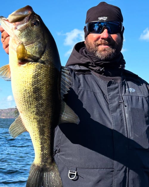 4-6 Hour Trip – Bass Fishing