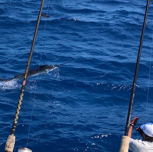 Dawn to Dusk Key West Fishing Trip