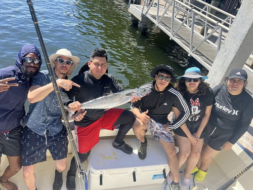 All day exclusive trip