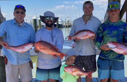 Reefs / Rigs: Snapper Trip