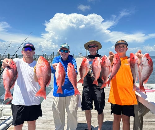 Reefs / Rigs: Snapper Trip