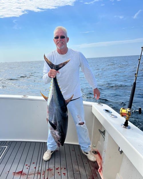 Mahi/Wahoo on the Troll