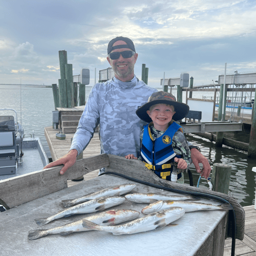 Inshore bait trip