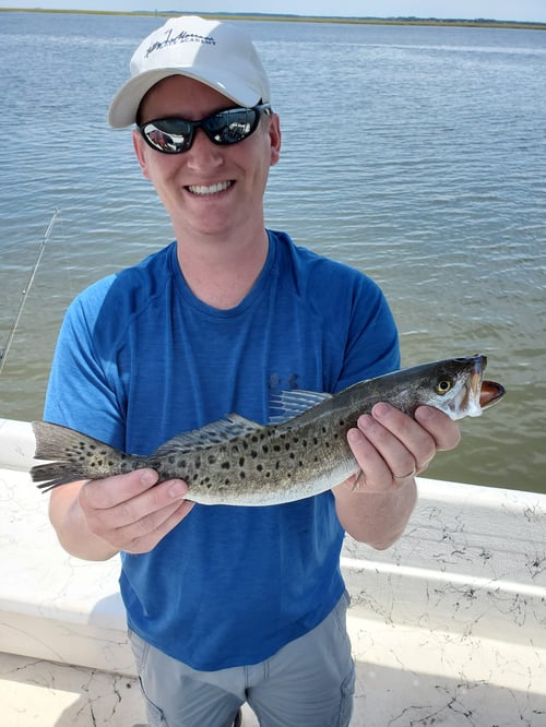 4-8 Hours Trip – Inshore/Nearshore