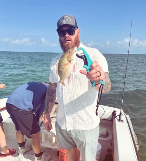 4-6 Hour Trip – Reef/Wreck