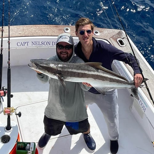 Offshore Adventure with Captain Nelson