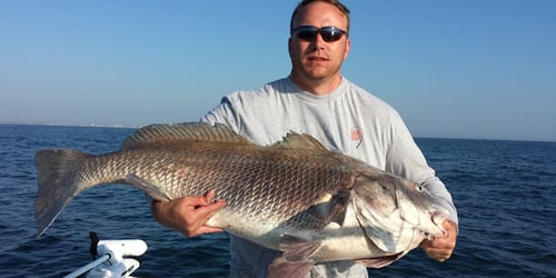 Daytona Beach: Inshore Fishing