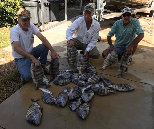 Daytona Beach: Shark Fishing