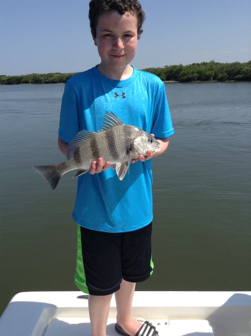 Daytona Beach: Shark Fishing