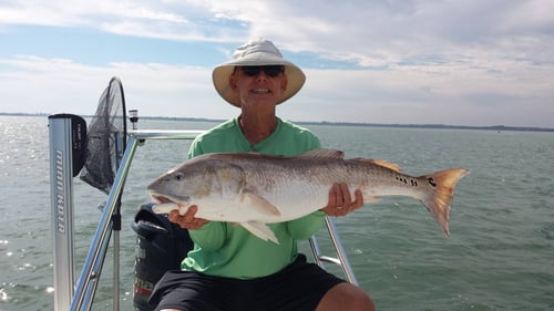 Daytona Beach: Shark Fishing