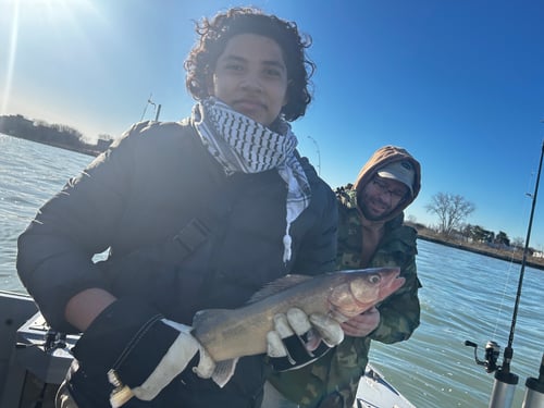 Walleye Fishing in Detroit, Michigan