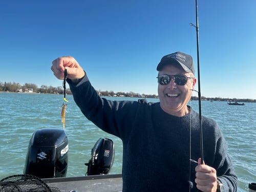 Detroit and Lake St Clair Walleye Charter