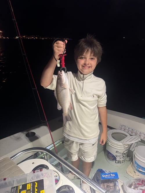 Family Friendly Kids Night Trip