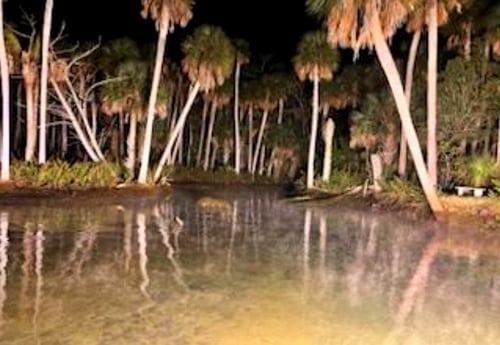 Gulf Blue Crab Charters