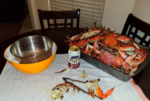 Gulf Blue Crab Charters