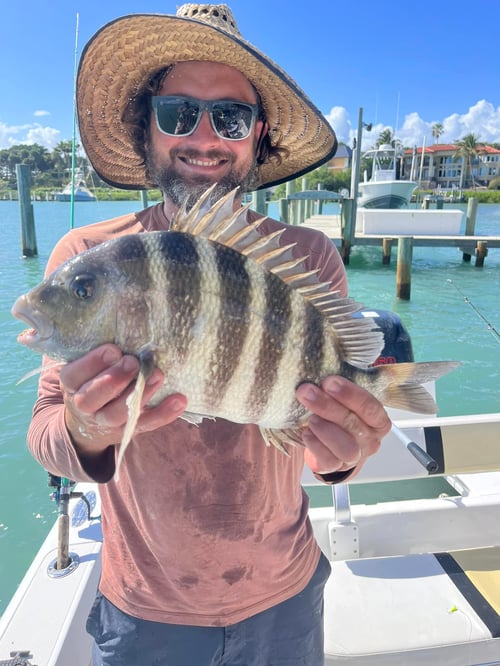 4 Hour Trip – Inshore