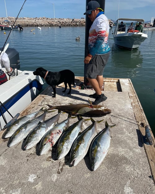 Loreto Mexico Panga Fishing Trip
