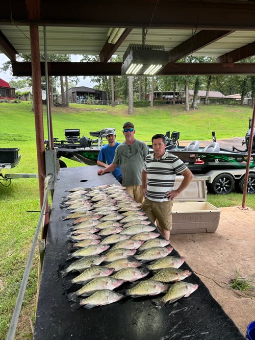 Slabbin’ out on big Millwood Crappie