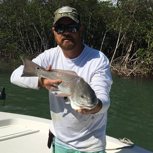 4-8 Hours Fishing Trip - Everglades