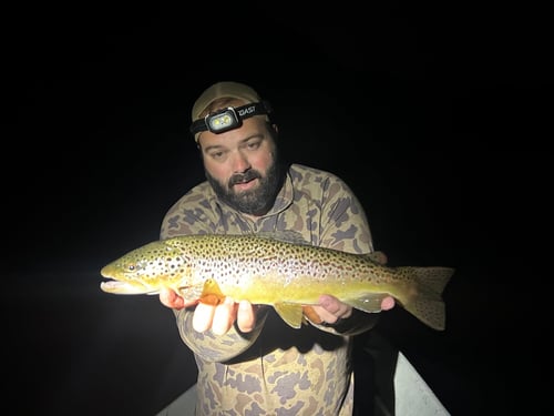 Warm Water Guided Trips