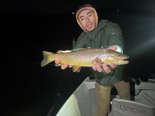 Warm Water Guided Trips