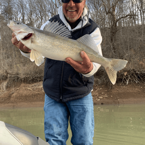 Rogers Arkansas Fishing Trips