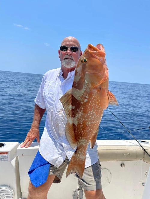 Crystal River Offshore Trip (Up to 30 Miles)