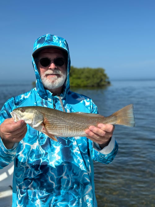 4-8 Hours Inshore Trip