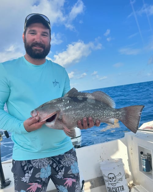 4-6 Hour Fishing Trip wreck/reef/offshore