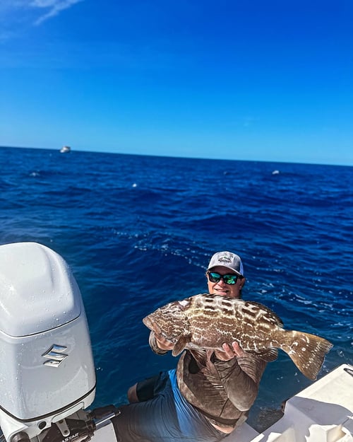 4-6 Hour Fishing Trip wreck/reef/offshore