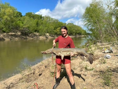 Alligator Gar Fishing
