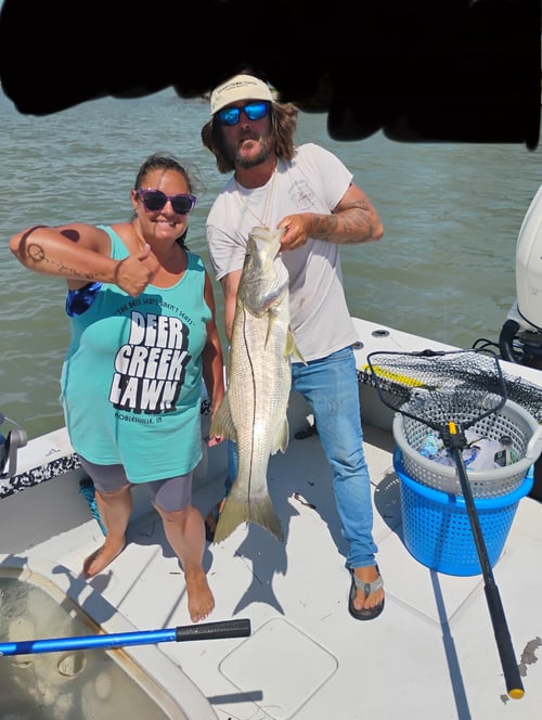 4 Hour Trip Inshore