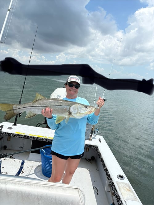 4 Hour Trip Inshore
