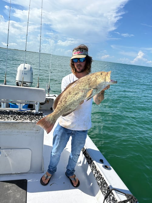 4 Hour Trip Inshore